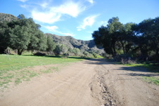 Enlarge photo 59