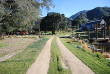 Enlarge photo 61