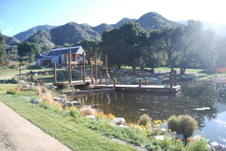 Enlarge photo 62