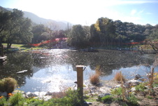 Enlarge photo 63