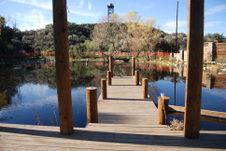 Enlarge photo 67