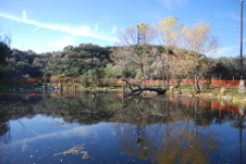 Enlarge photo 68
