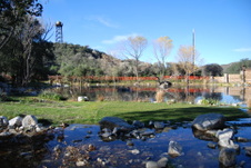 Enlarge photo 70