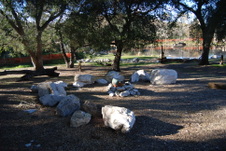 Enlarge photo 74