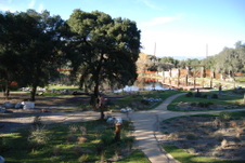 Enlarge photo 76