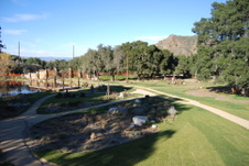 Enlarge photo 77