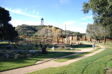 Enlarge photo 80
