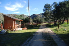 Enlarge photo 81