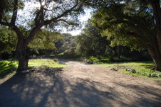 Enlarge photo 90