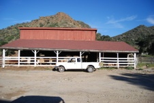Enlarge photo 106