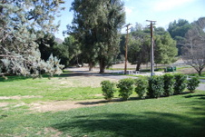 Enlarge photo 109
