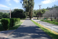 Enlarge photo 110