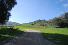 Enlarge photo 181