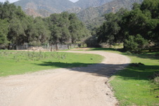 Enlarge photo 182