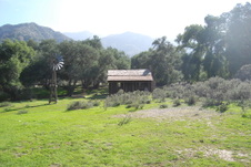 Enlarge photo 183