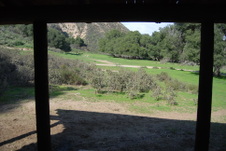 Enlarge photo 186