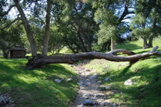Enlarge photo 192