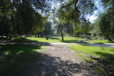 Enlarge photo 209