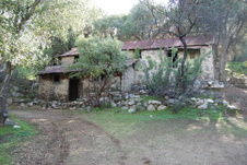 Enlarge photo 213
