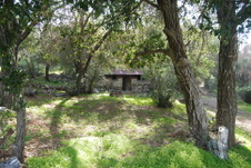 Enlarge photo 214