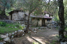 Enlarge photo 215