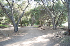 Enlarge photo 217