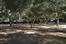 Enlarge photo 218