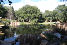 Enlarge photo 220