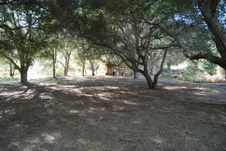 Enlarge photo 221