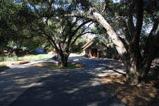 Enlarge photo 222