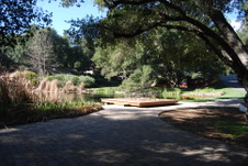 Enlarge photo 223