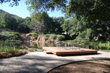 Enlarge photo 224
