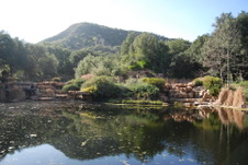 Enlarge photo 225