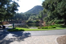 Enlarge photo 229