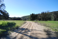 Enlarge photo 59