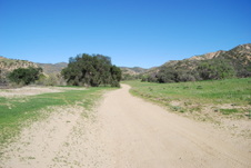 Enlarge photo 63