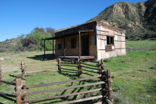 Enlarge photo 64
