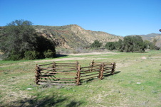 Enlarge photo 65