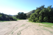 Enlarge photo 74