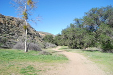 Enlarge photo 79