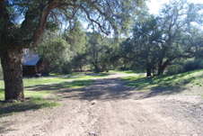 Enlarge photo 83