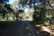 Enlarge photo 97