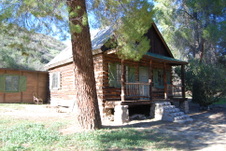 Enlarge photo 107