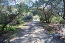 Enlarge photo 116