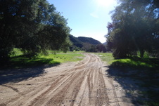 Enlarge photo 117