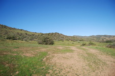 Enlarge photo 159