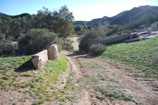Enlarge photo 174