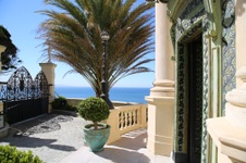 Enlarge photo 46