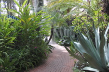 Enlarge photo 28