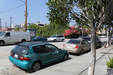 Enlarge photo 87